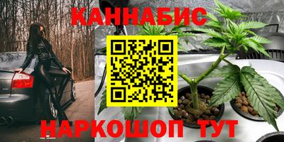 стаф Ирбит