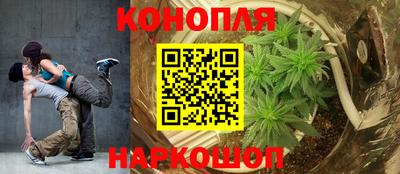 СК Изобильный