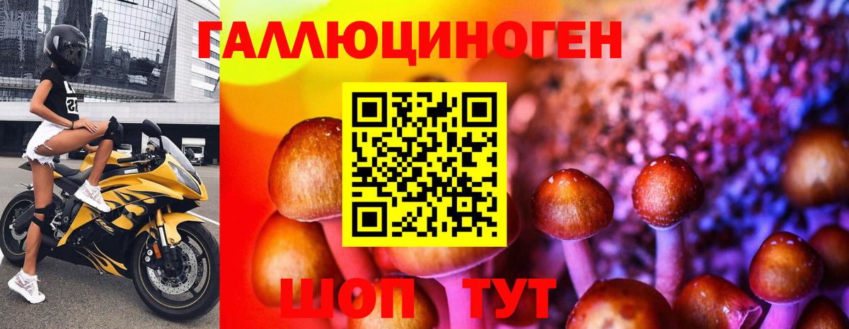 Галлюциногенные грибы прущие грибы  Вход с VPN  Красноуфимск 